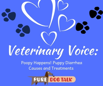 Veterinary Voice_ (6)