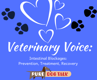 Veterinary Voice_