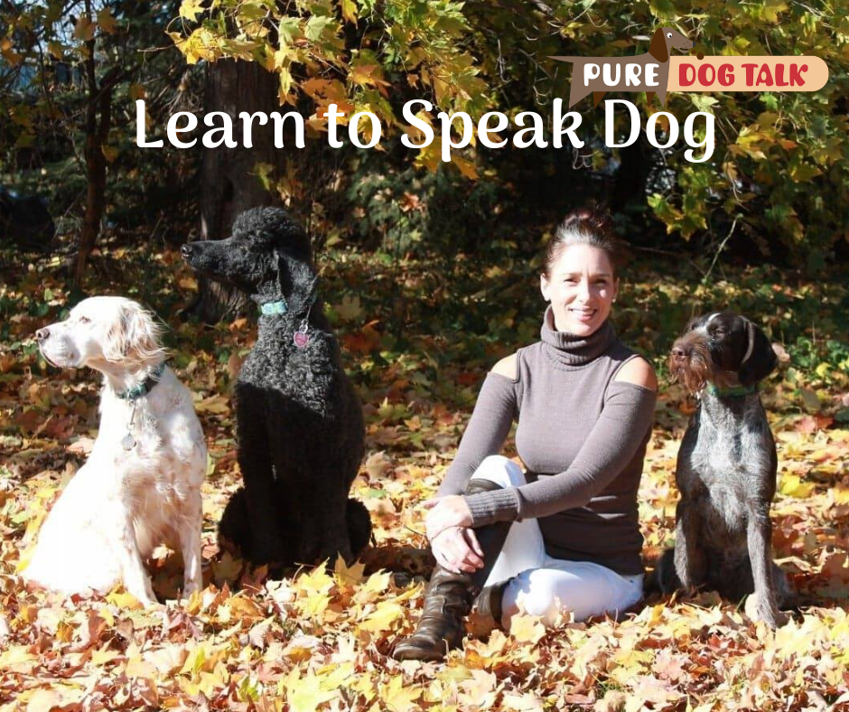 Learn to Speak Dog