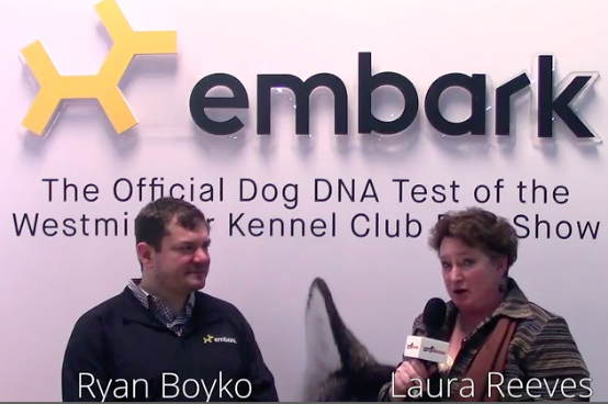 Kennel club dna sales testing