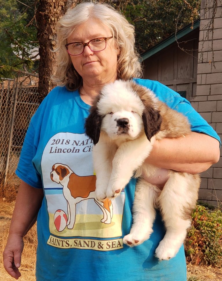 374 To Deduct or Not to Deduct Tax Time for Dog People Pure Dog Talk