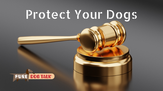 Protect Your Dogs