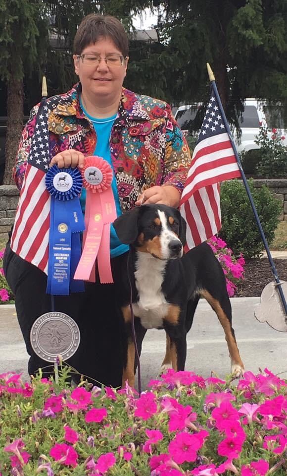 381 Rare Breeds Preservation, Promotion and Purposeful Breeding