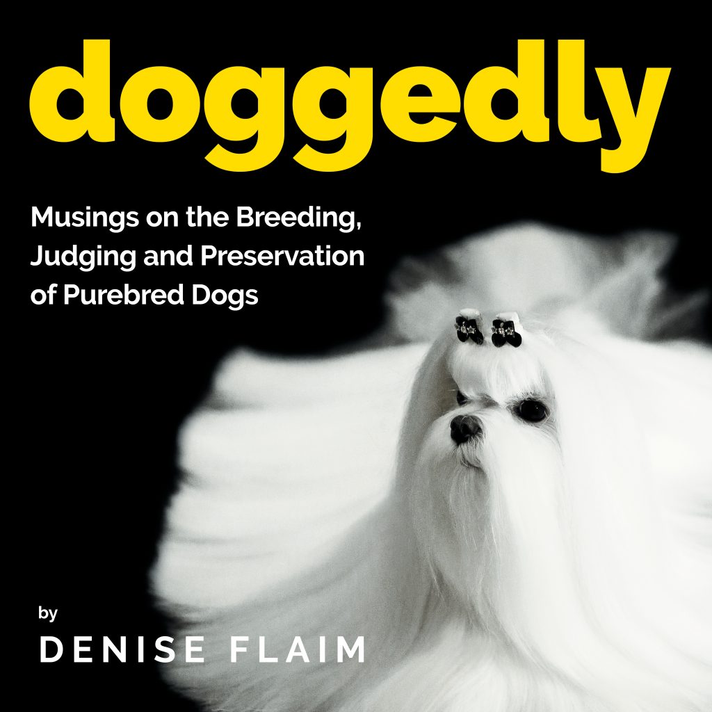 DOGGEDLY Front Cover