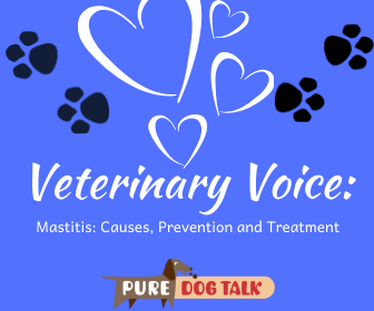 https://puredogtalk.com/wp-content/uploads/2020/05/Veterinary-Voice_.png