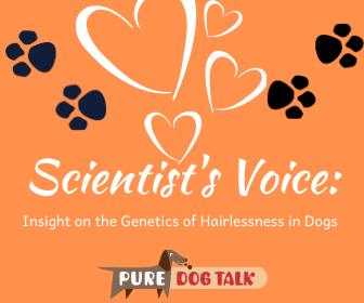 Artwork for podcast Pure Dog Talk