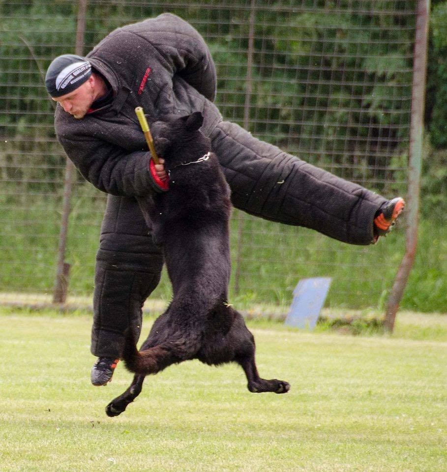 Gsd working clearance