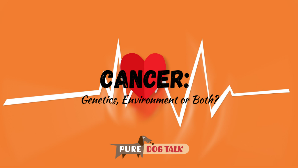 Cancer_ Genetics, Environment or Both_