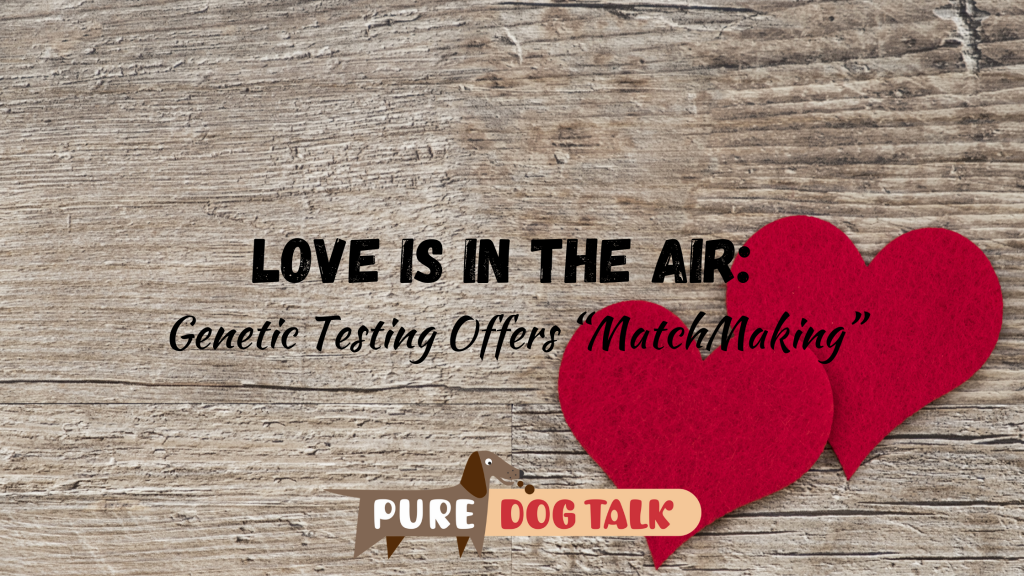Love is in the Air_ Genetic Testing Offers “MatchMaking” Love is in the Air_ Genetic Testing Offers “MatchMaking”