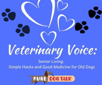 Veterinary Voice_ (3)