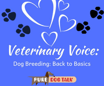 Veterinary Voice_ (3)