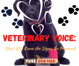 Veterinary Voice_