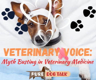 Veterinary Voice_ (1)