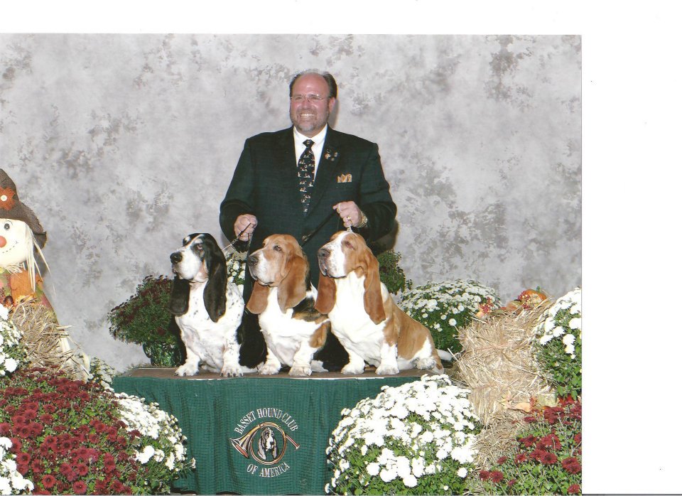 "My Three Sons" taken at the 2006 BHCA Nationals. The ONLY time the top three, all-time Best in Show winning Basset Hounds competed at the same show! L-R Ch Deerhill's Great Gatsby, 52 all-breed bests, Ch Topsfield Bumper Cars, 45 all-breed bests and Ch Topsfield Beethoven, 34 all-breed bests, 131 in total! -- Bryan Martin