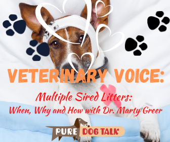 Veterinary Voice