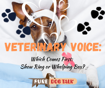 Veterinary Voice (1)