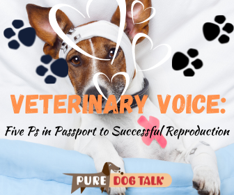 Veterinary Voice (1)