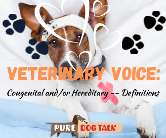 Veterinary Voice (2)