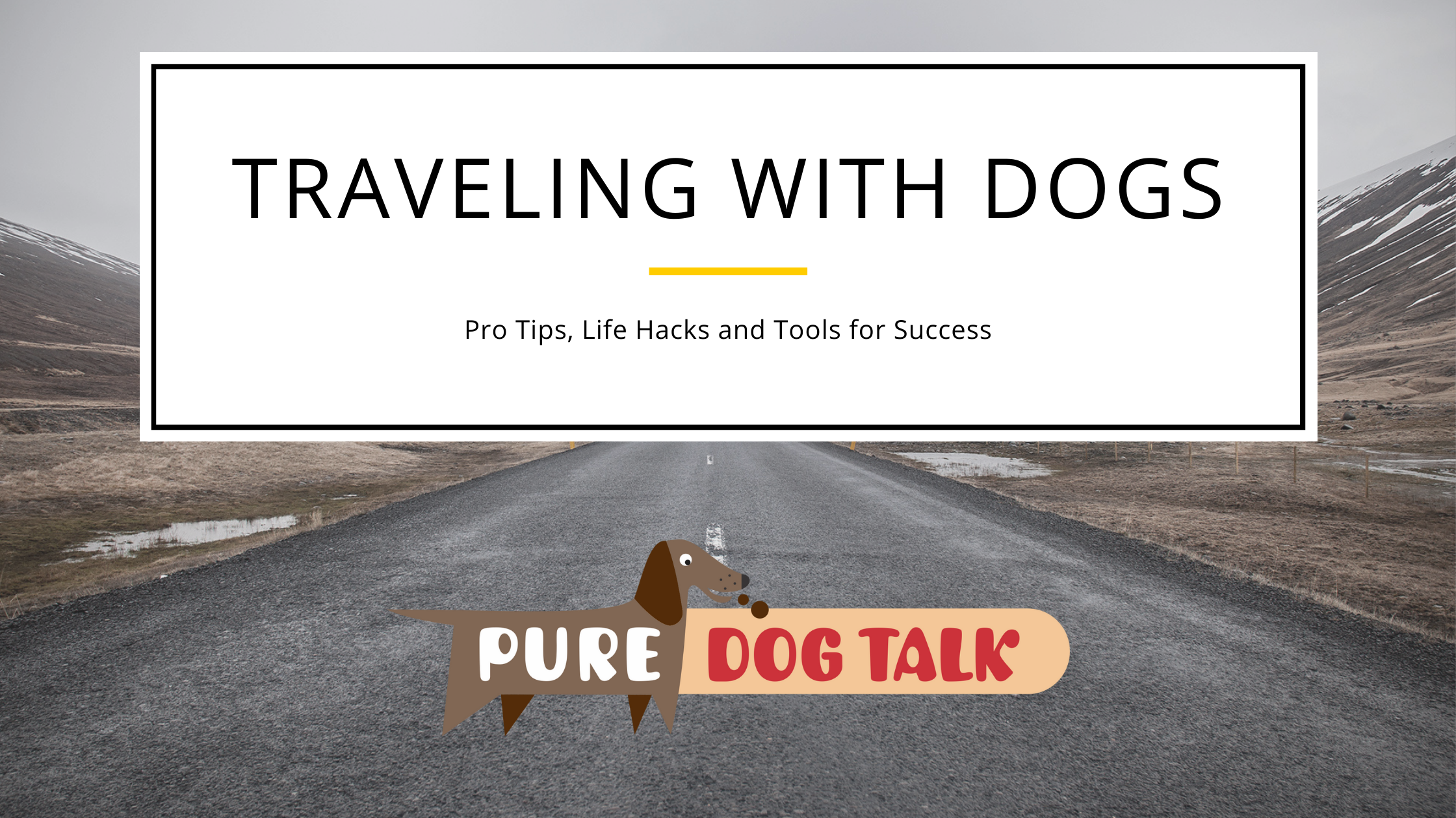 494 Traveling with dogs Pro Tips Life Hacks and Tools for