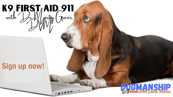 First-Aid-911-(1)