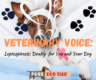 Veterinary Voice (3)
