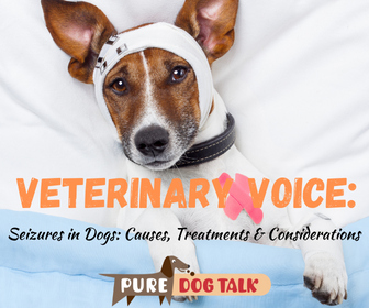 Veterinary Voice (4)