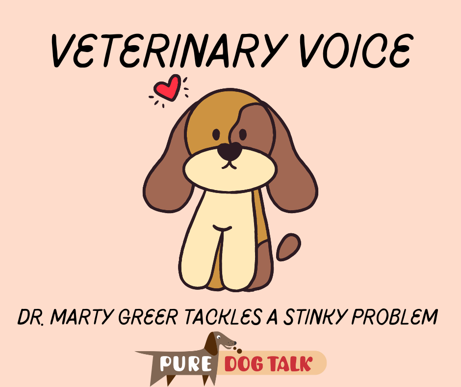 Veterinary Voice (5)