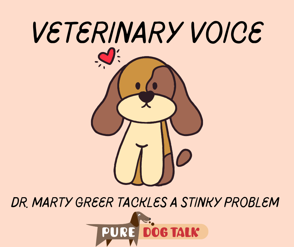 510 – Tackling a Stinky Problem with Dr. Marty Greer - Pure Dog Talk