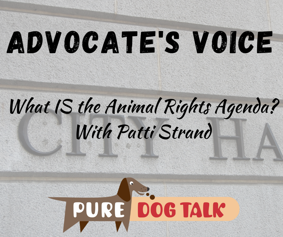 advocate's voice