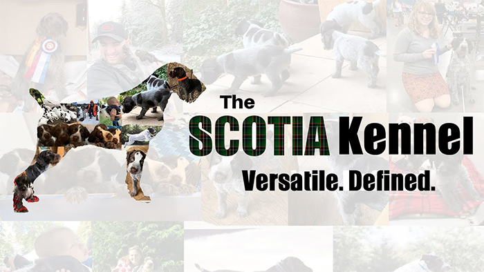 scotia_kennel