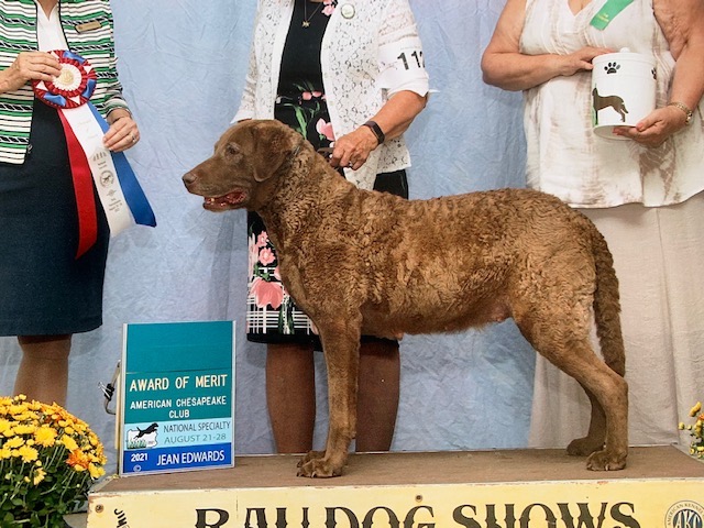 2011 National Supplement - Borzoi Club of America, Inc.