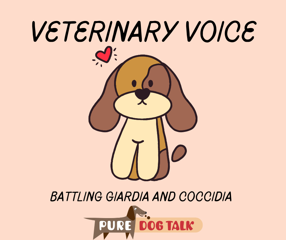 Veterinary Voice (6)