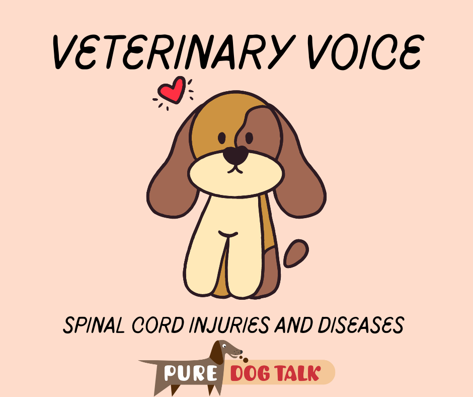 Veterinary Voice (7)
