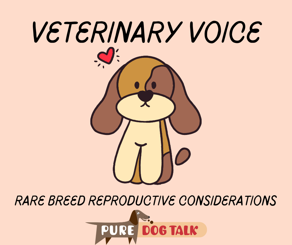 Veterinary Voice (8)