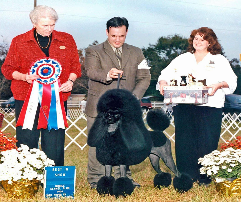 Poodles, Professional Handlers and Public Image