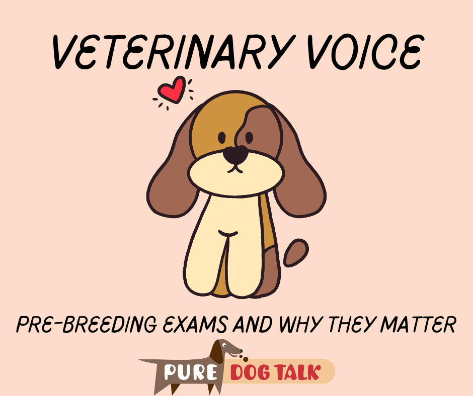 Veterinary Voice (9)