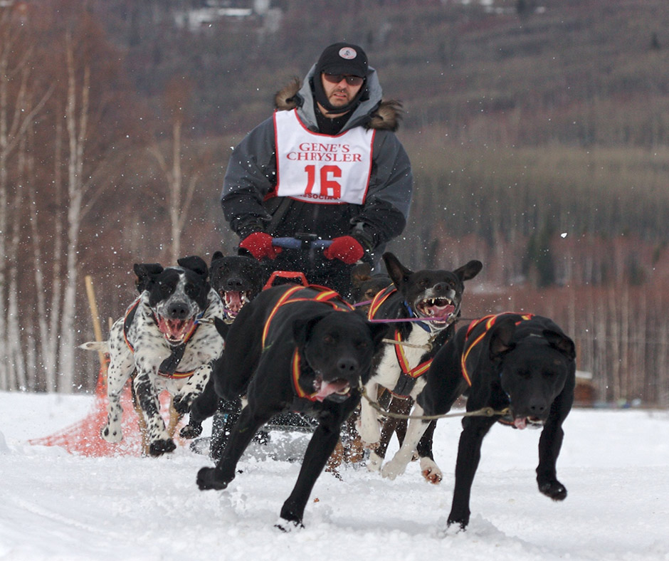 Feeding Performance Dogs is All About Balance