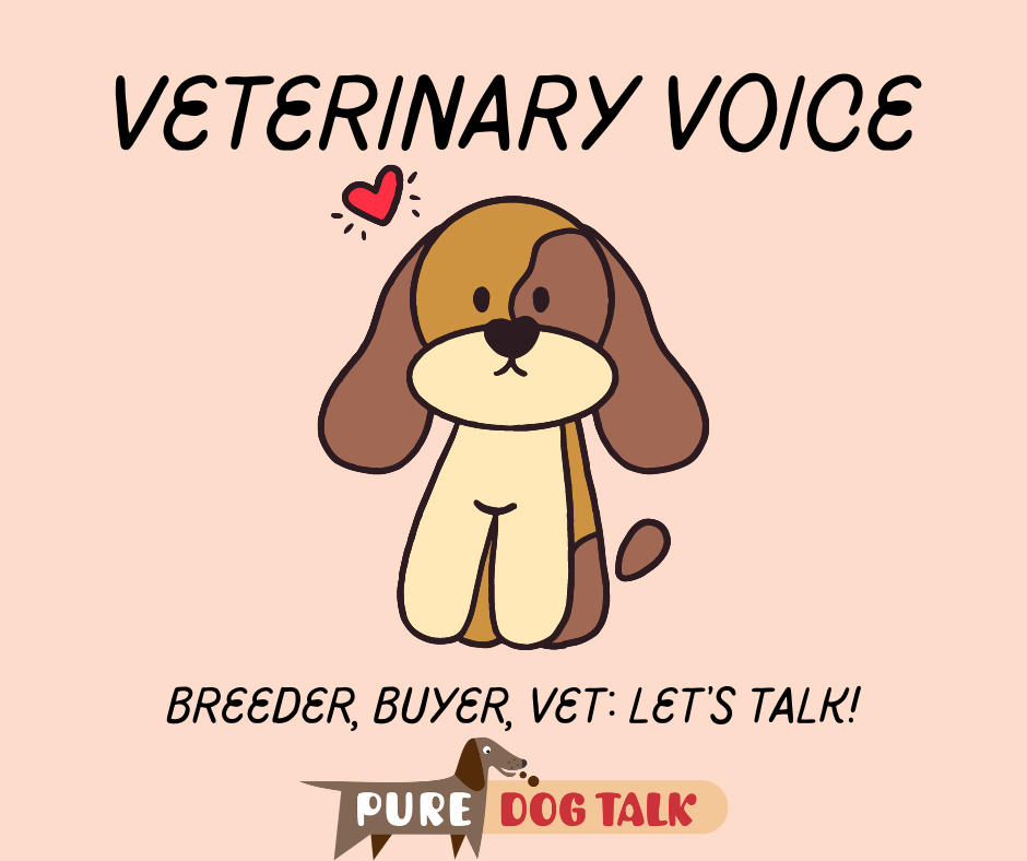 Veterinary Voice (10)