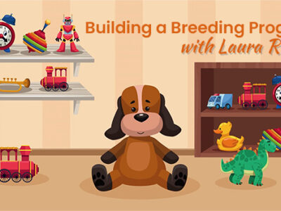 Building a Breeding Program: The Collected Wisdom