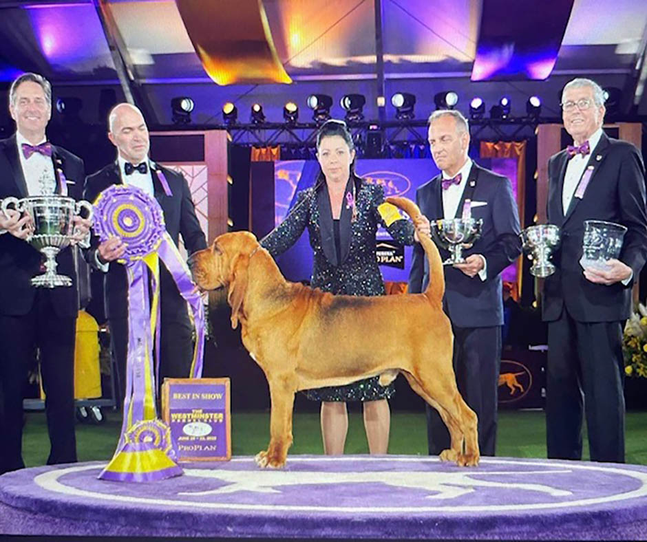 Dr. Donald Sturz, Dog Show