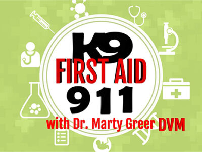 K9 First Aid 911 with Dr. Marty Greer