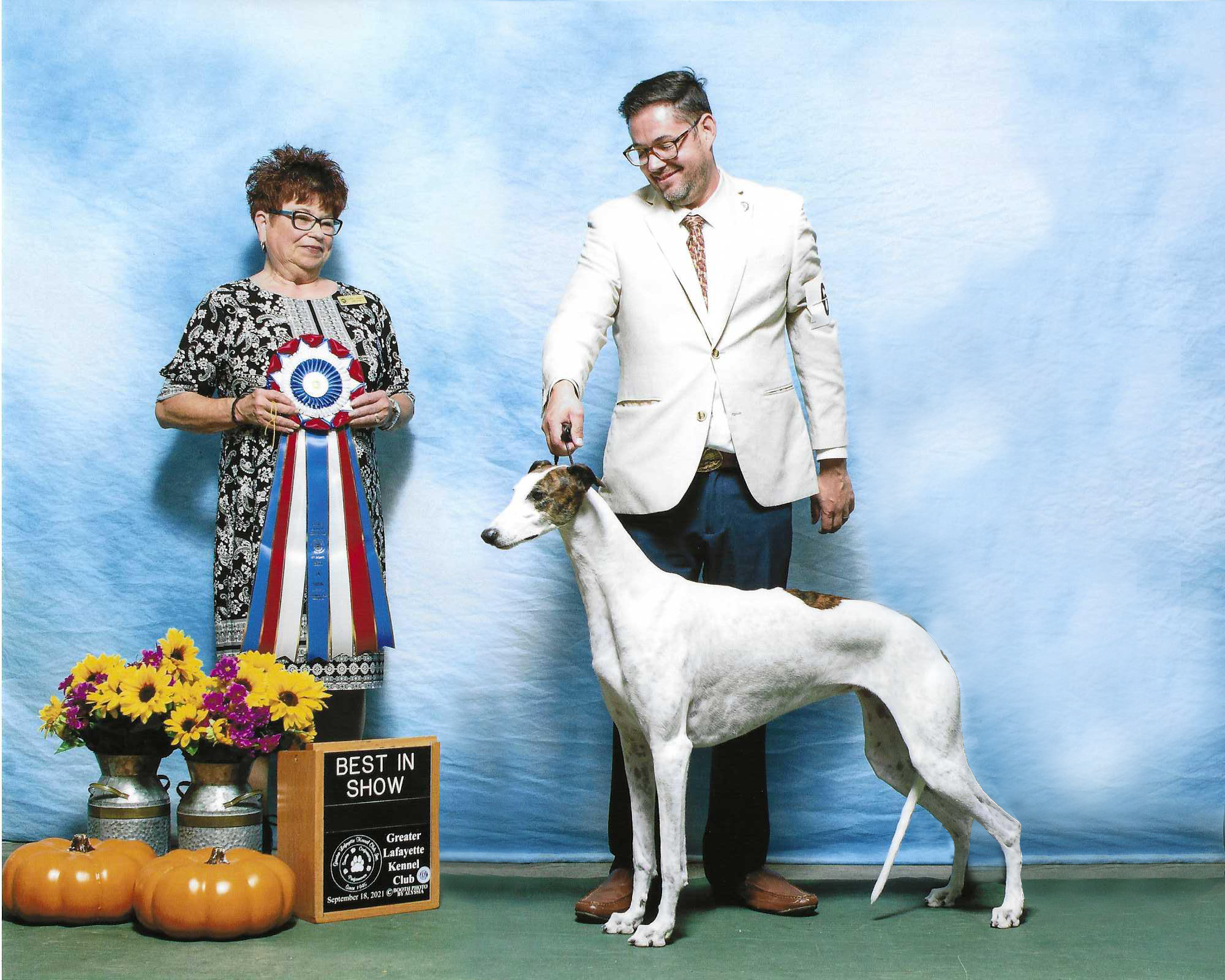 Greater chicago 2024 whippet club