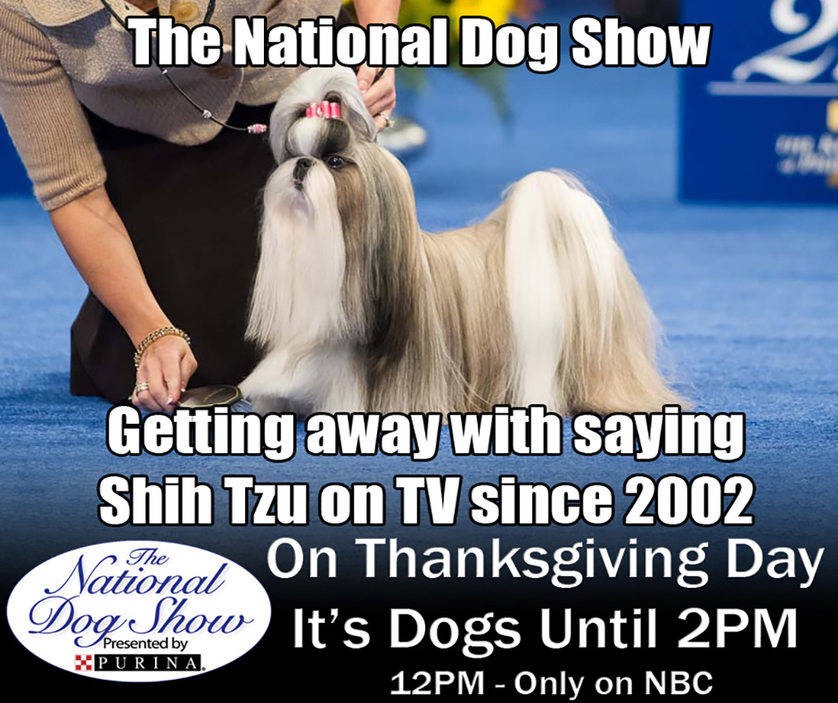 Westminster Dog Show TV Broadcast - Aired Each Year