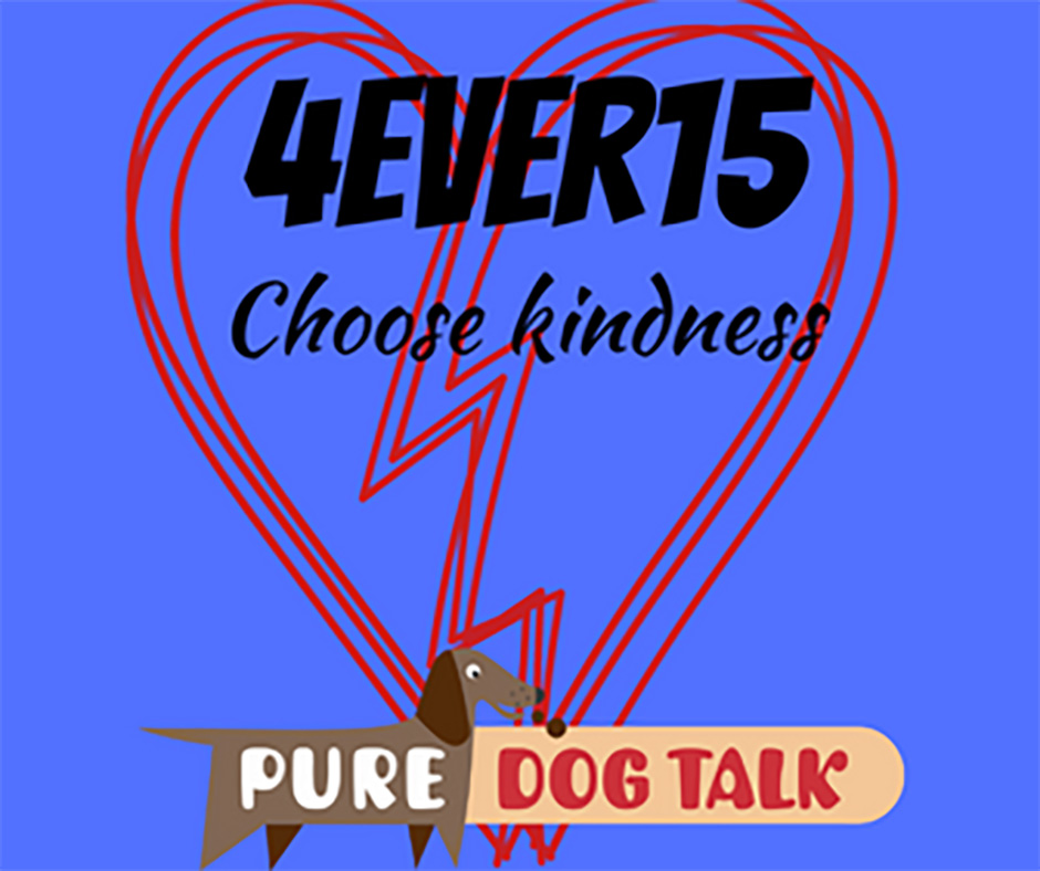 4Ever15 Choose Kindness
