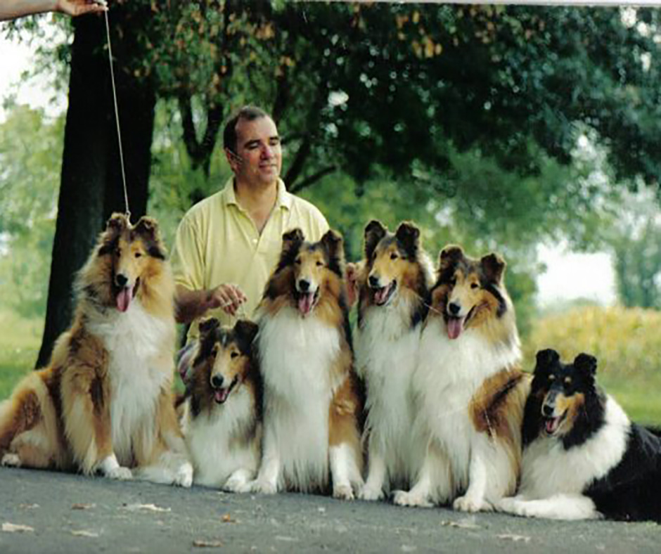 John Buddie, Tartanside Collies