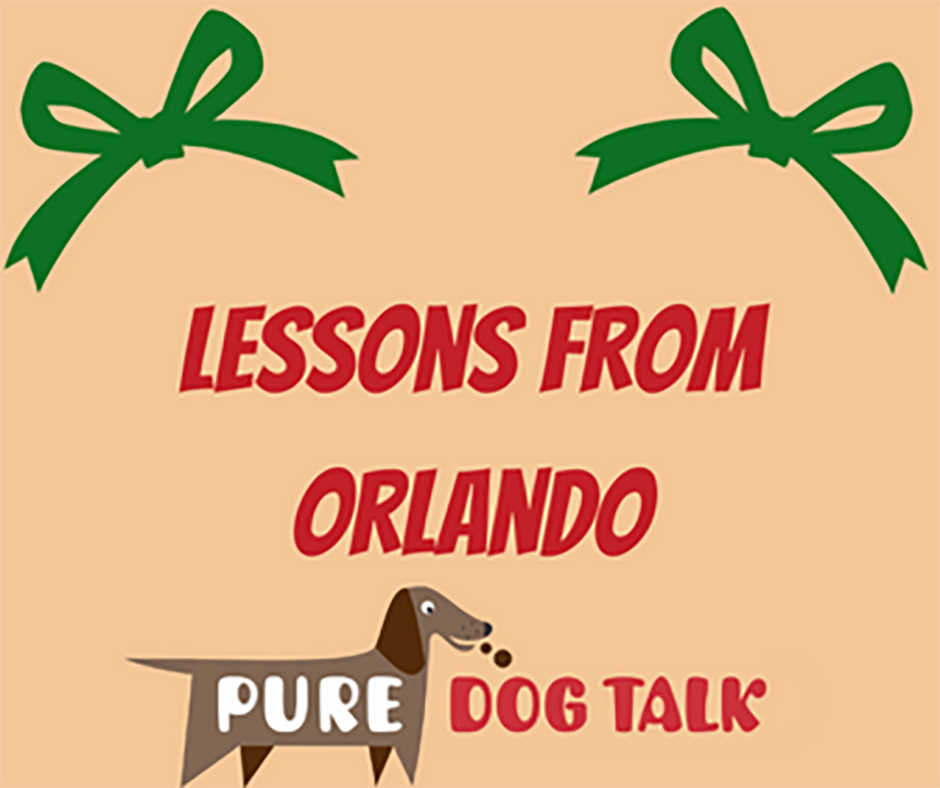 Lessons from Orlando and Holiday Musings
