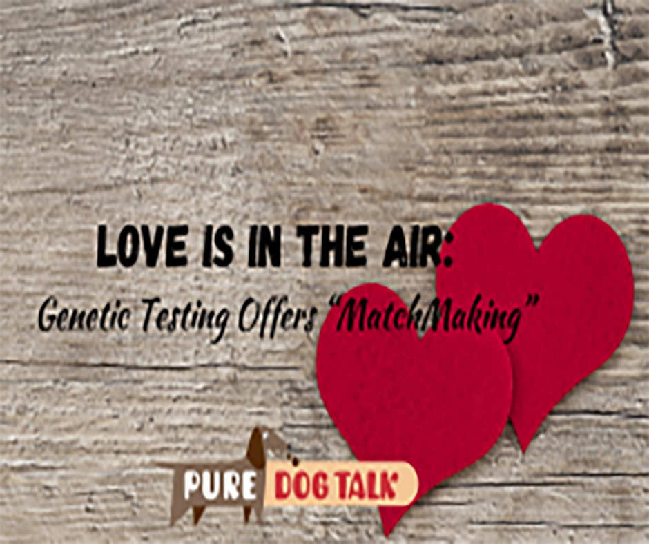 Love is in the Air Genetic Testing Offers “MatchMaking”