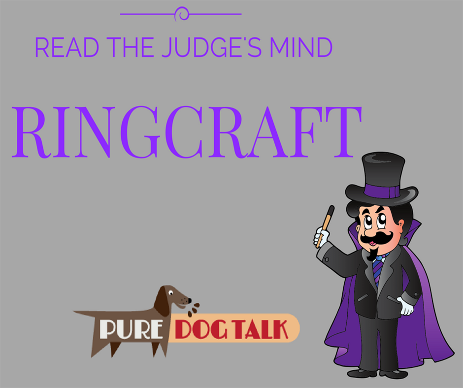 Ringcraft How to Read the Judge’s Mind