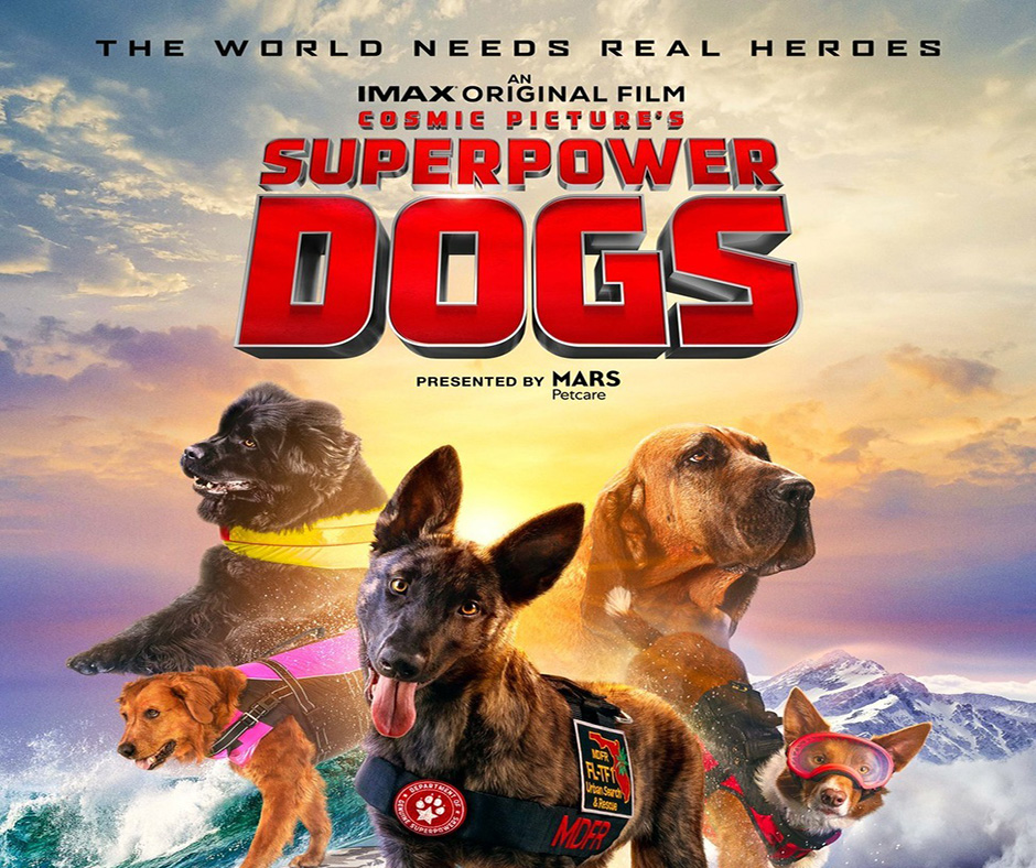 Purebred Dogs Get Their Own Super Hero Movie | Pure Dog Talk