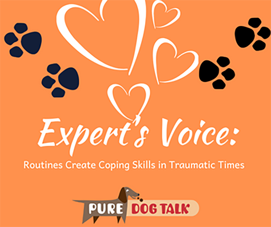 566 – Routines Create Coping Skills in Traumatic Times